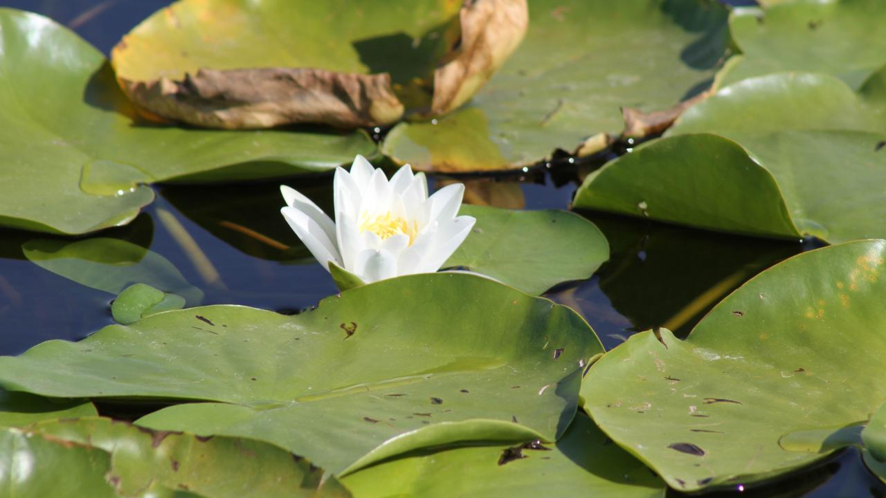 "Gerçekten büyülendik"