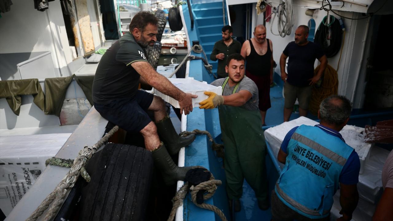 "400 kasa palamutla limana geldik"