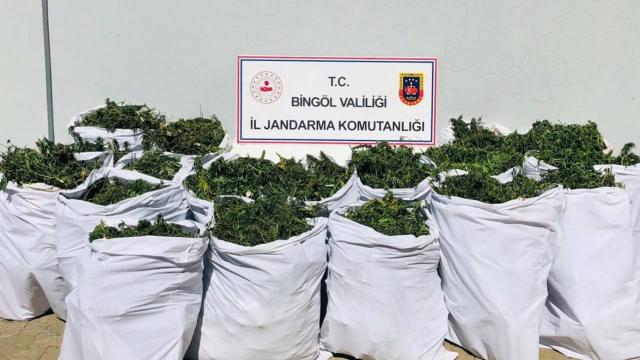 Bingölde 205 kilo uyuşturucu ve 1662 kök kenevir ele geçirildi