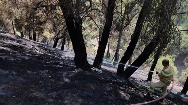 Uşakta çıkan orman yangını söndürüldü