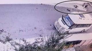 8 yaşındaki çocuğa pitbull saldırdı