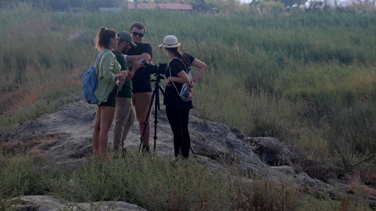 "Birçok yerde görülmeyen kuş türü burada görülmeye başlandı"