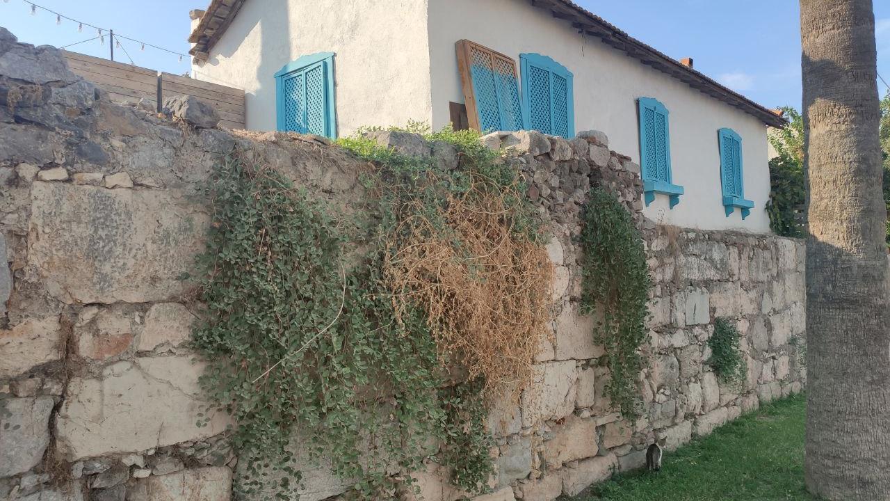 Fotoğraf: Fatih Karadavut