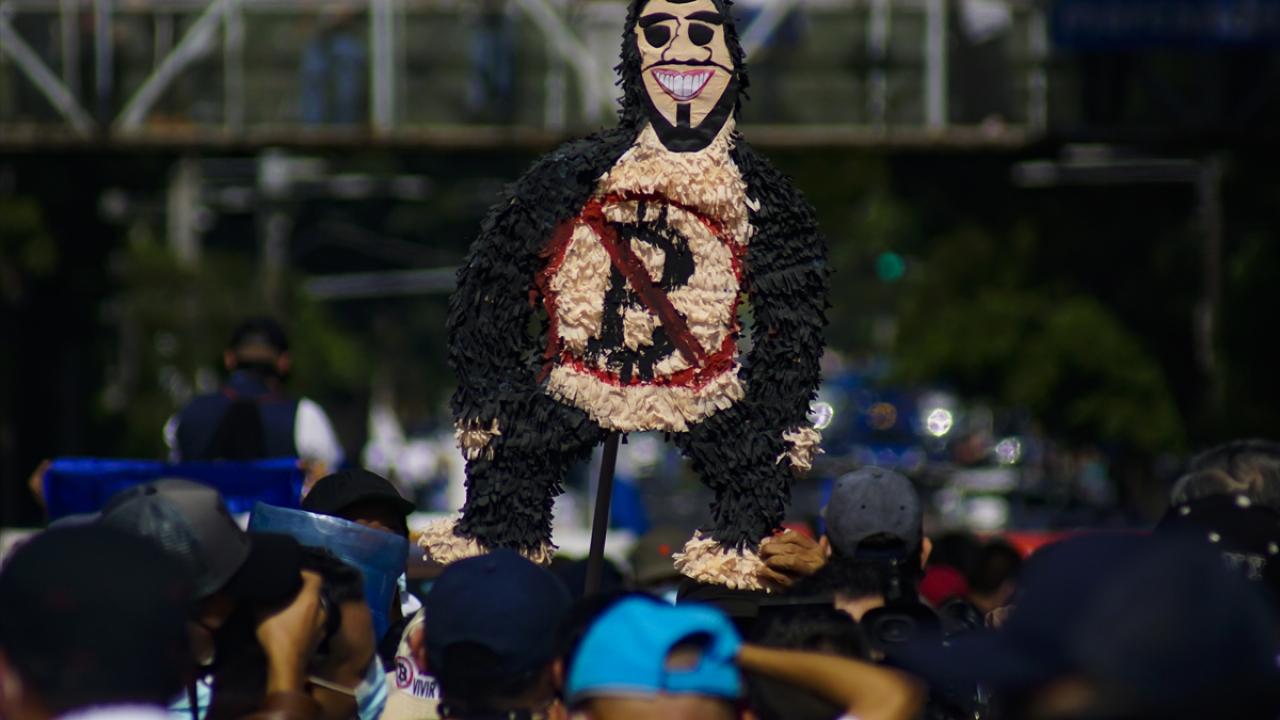 Filistin kökenli Bukele