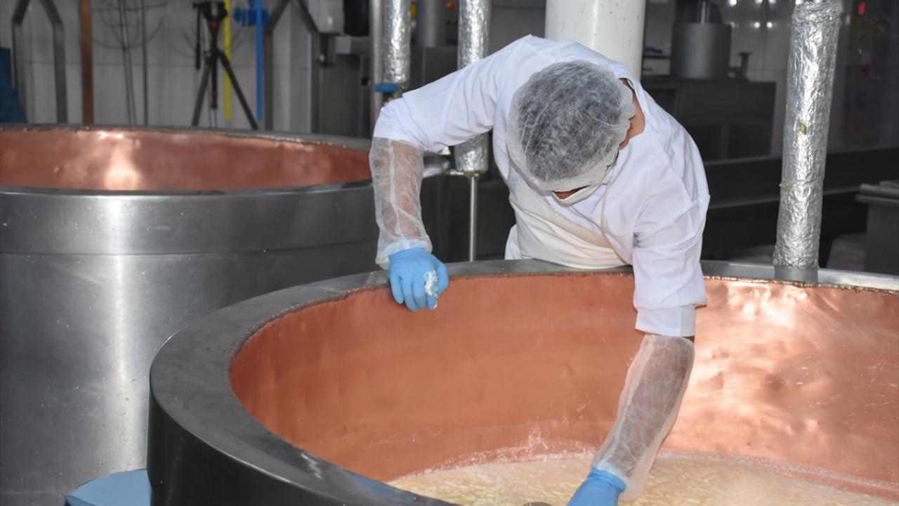 Hayvanlar iyi beslenemediği için süt üretimi düştü