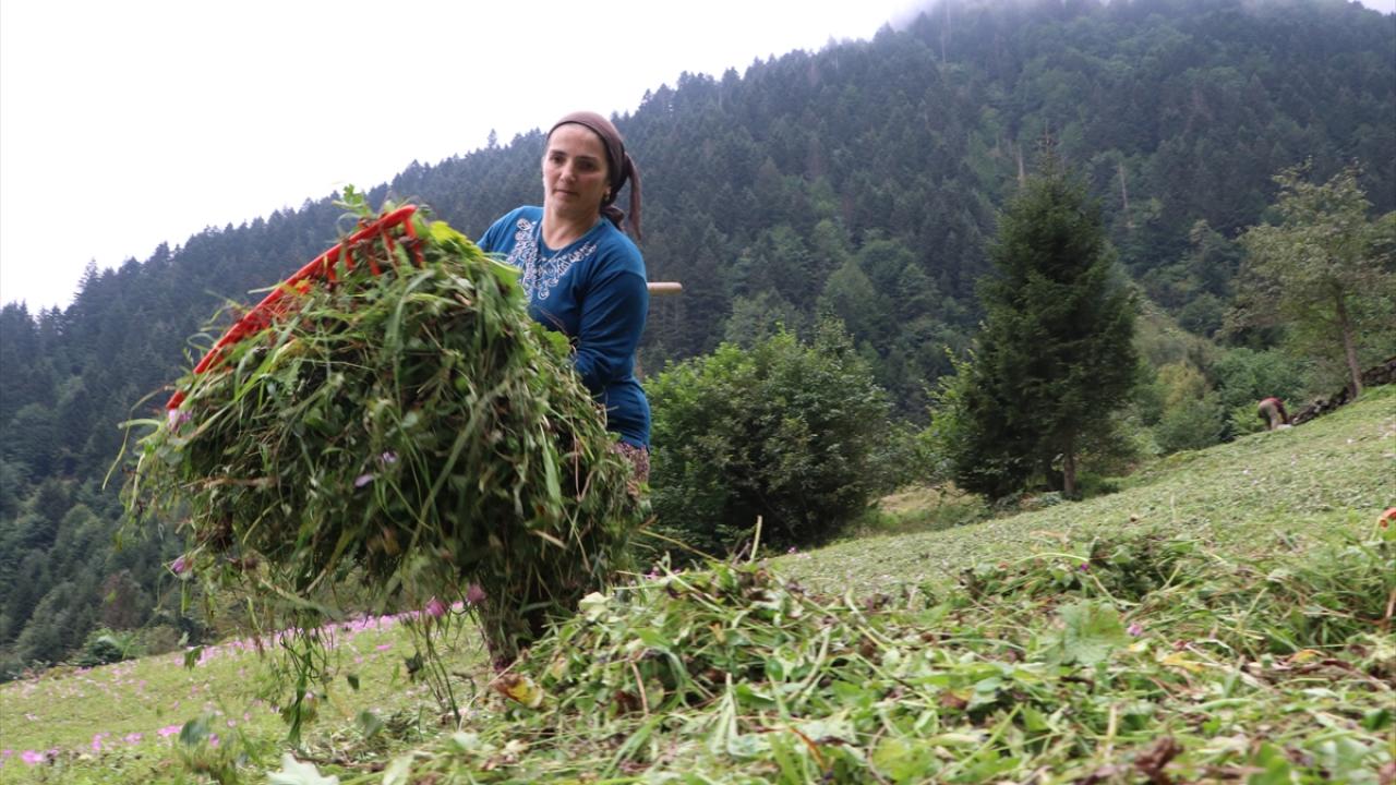 "Vargit çiçekleri 15 gün içinde solacak"