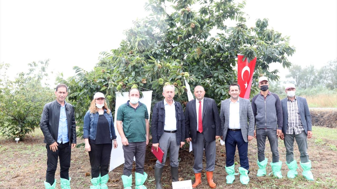 "En önemli özelliklerinden biri de yüksek verimli olmasıdır"