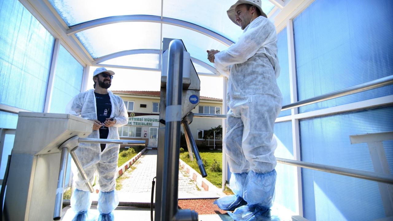Tesiste üst düzey tedbirler uygulanıyor