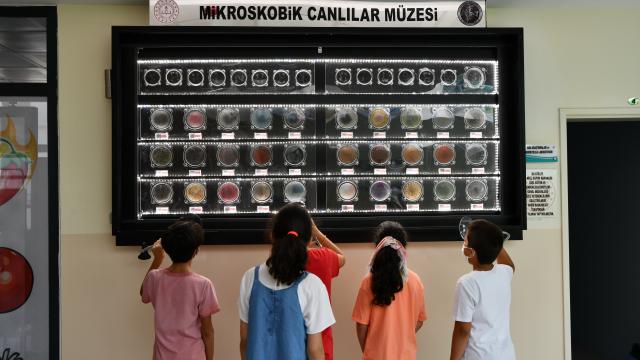Bilim Sanat Merkezindeki "Mikroskobik Canlılar Müzesi", öğrencilerin ilgi odağı oldu