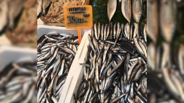 Hamsi halde 15, tezgahlarda 35 lira