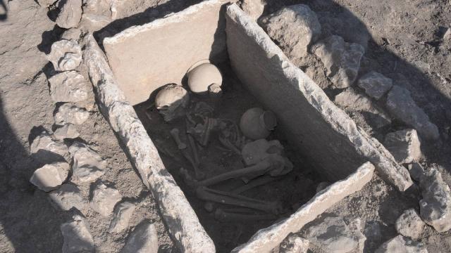 Çayönü Höyüğünde 5 bin yıllık sandık mezar bulundu