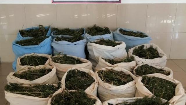 Bingölde 289 kilogram esrar ele geçirildi