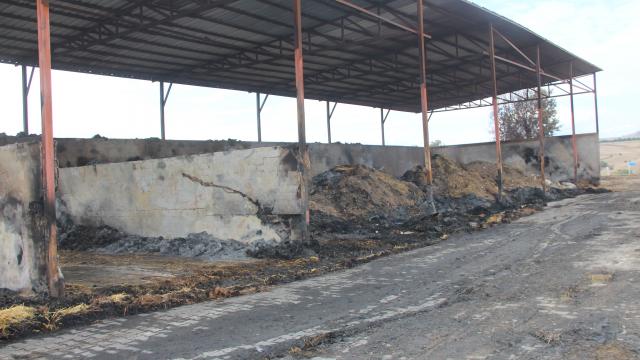 Amasyada besi çiftliğinde çıkan yangında 200 ton saman ve 25 ton yem zarar gördü