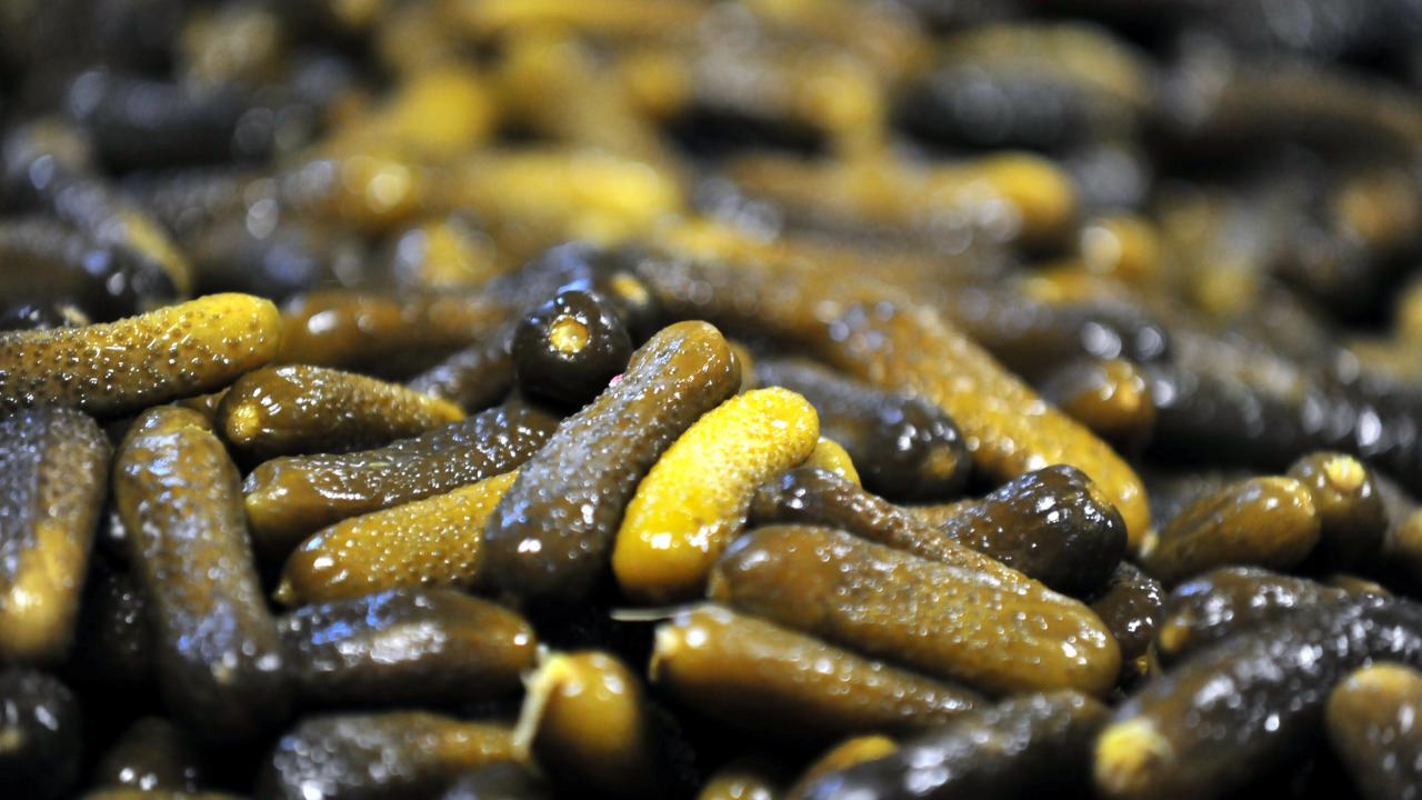 Mayıs, haziran ve temmuz aylarında buraya çok sayıda insan gelir. 