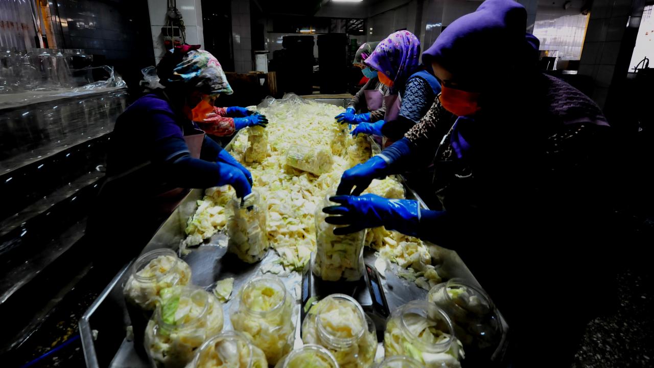 Turşumuz, 1950`li yıllardan başlayarak bu zamana kadar gelmiştir. 