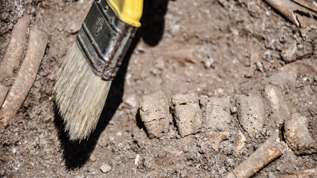 "3-4 yaşlarına ait bir bebek mezarı bulduk"