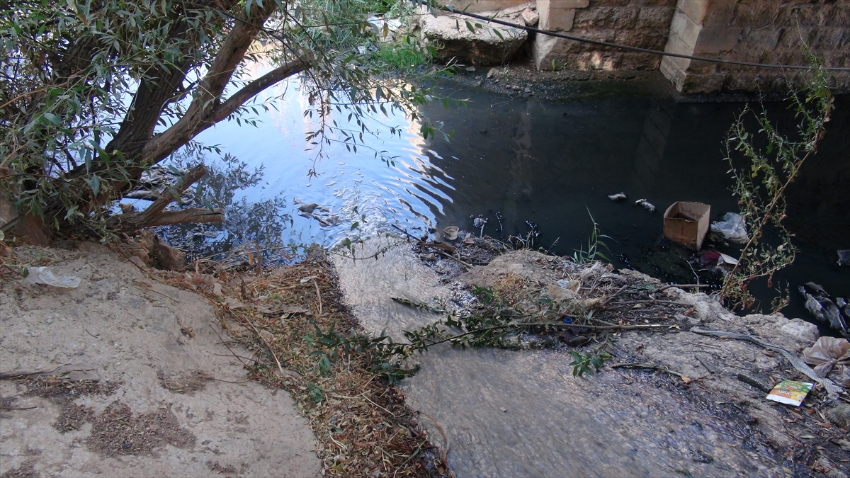Nehirdeki kirlilik ve halkın sağlığına etkileri