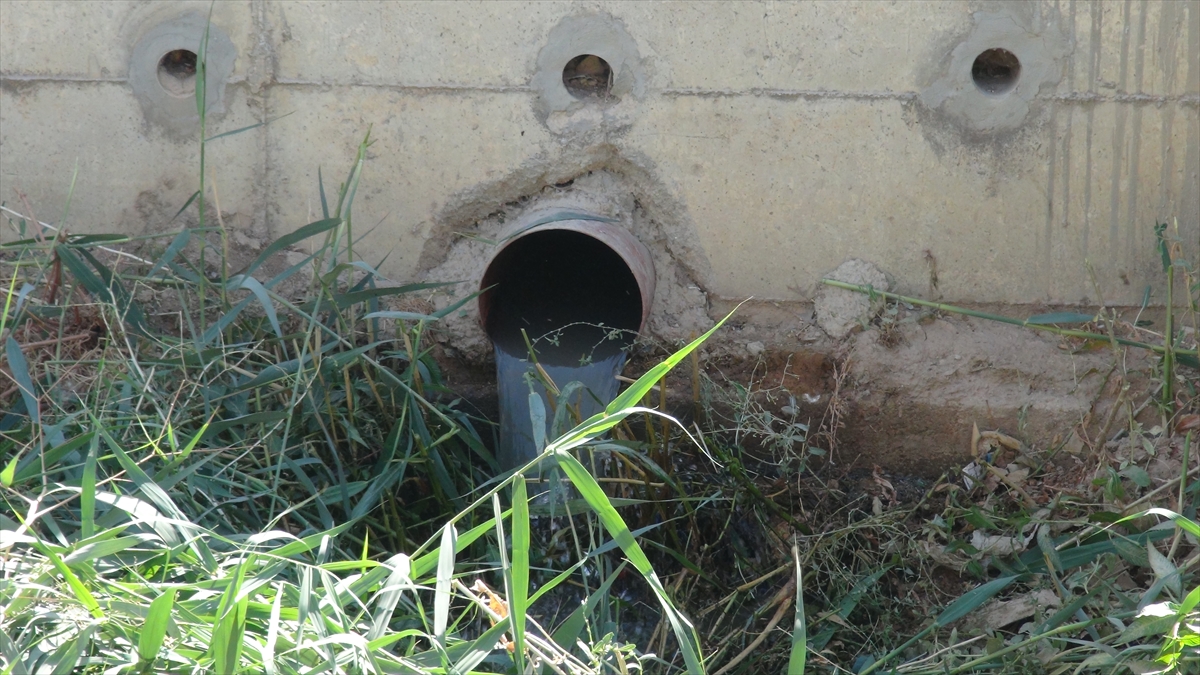 "Uzun yıllardır devam eden kötü yönetimler sonucu bu zenginlikler heba edildi"