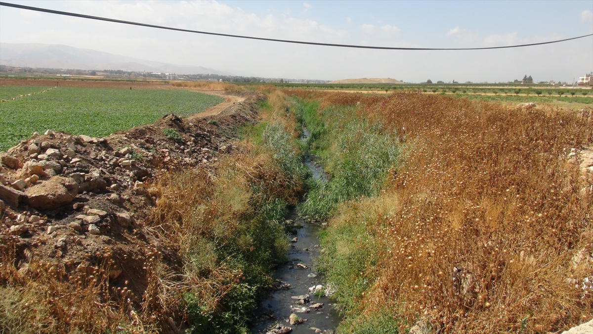 Nehirdeki durum bir çevre felaketi