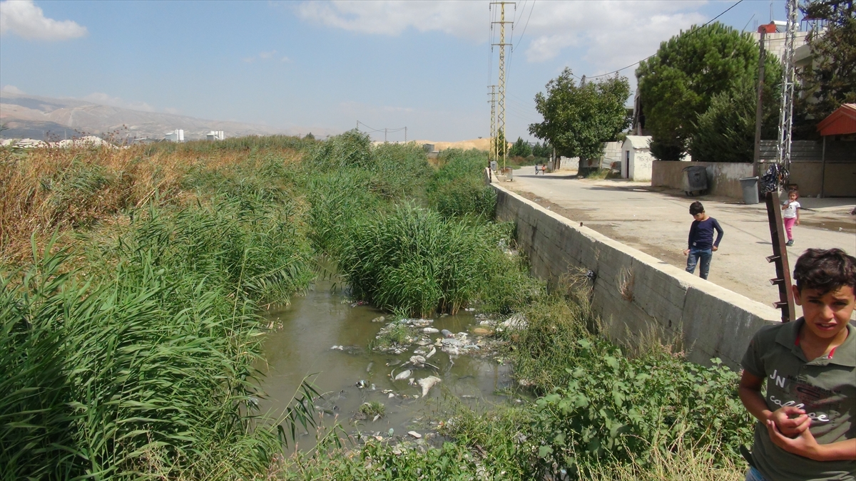 "Bölge sakinlerinin sağlığını tehdit ediyor"