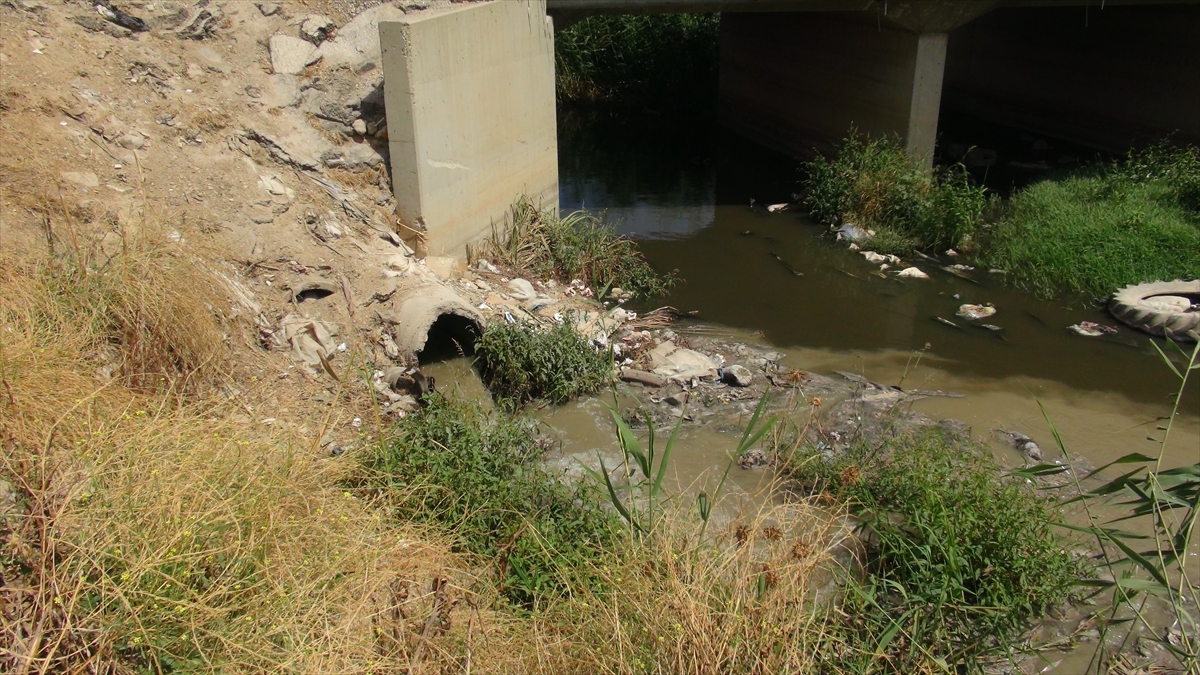 "Yolsuzluklarla yönetimde kalanlar, uzun yıllardır bizleri ölümle karşı karşıya bırakıyor"