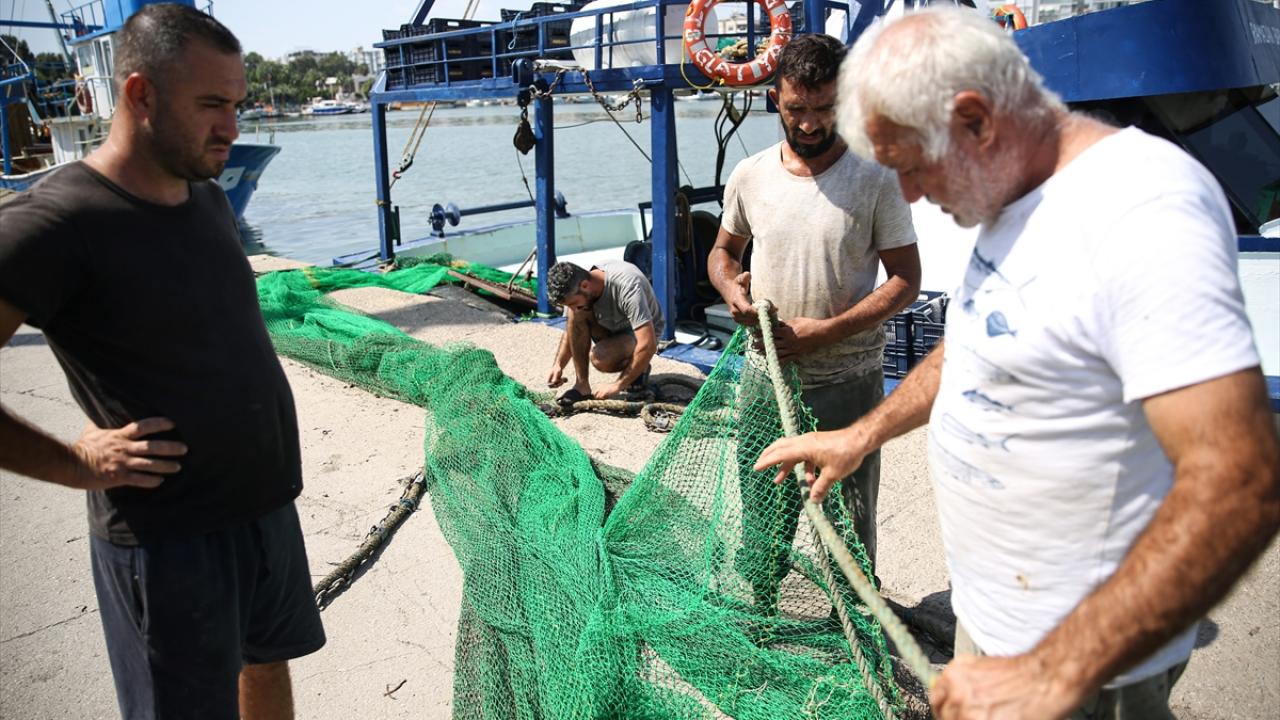 "Bazı balık türlerinde indirimler var"