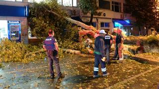 Beykoz’da devrilen ağaçtan kıl payı kurtuldular