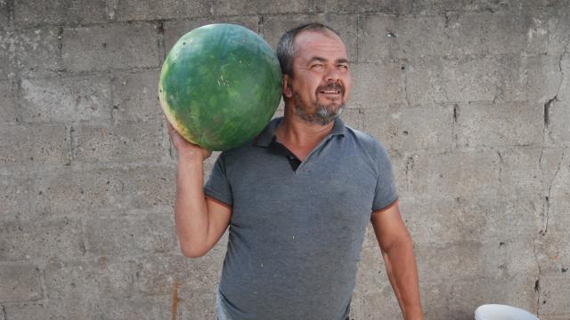 Bayramiçli üretici 20 kilogramlık karpuz yetiştirdi