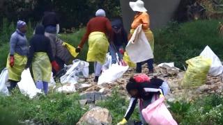 Doğa için bir araya geldiler, tonlarca atık topladılar