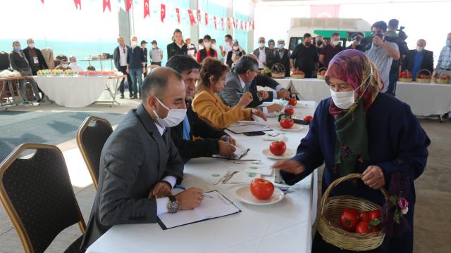 Gölbaşında Elma ve Domates Yetiştiriciliği Yarışması düzenlendi
