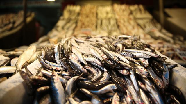 Mersinli balıkçıların bekeretli avı tezgahları şenlendirdi