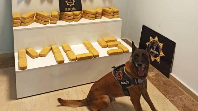Otomobillerinde 40 kilo uyuşturucu taşıyan çift tutuklandı