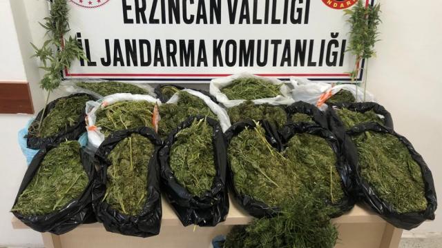 Erzincanda çatısında uyuşturucu yetiştirdiği iddia edilen zanlı tutuklandı