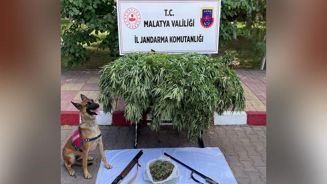 Malatyada uyuşturucu operasyonu