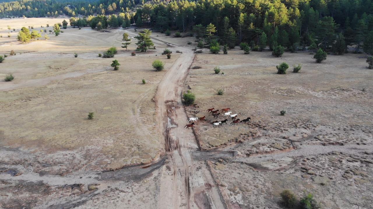 "Burası yılkı atları ile meşhur olmuş bir bölgedir"