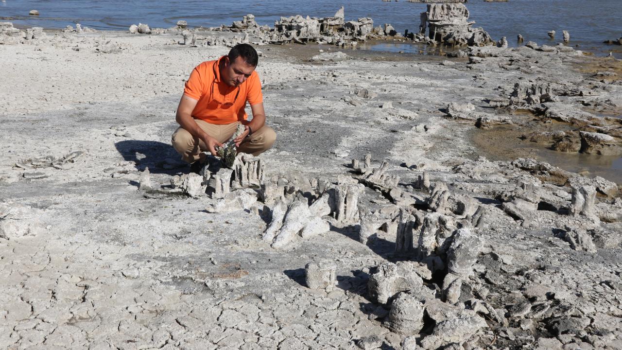 "Dünyanın sadece belirli bölgelerinde bulunuyor"