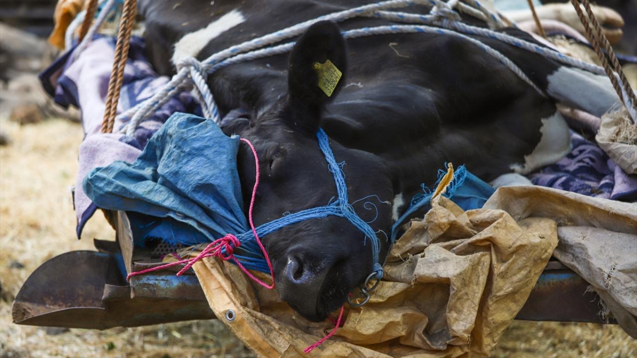 "Devletimiz her zaman vatandaşın yanında"