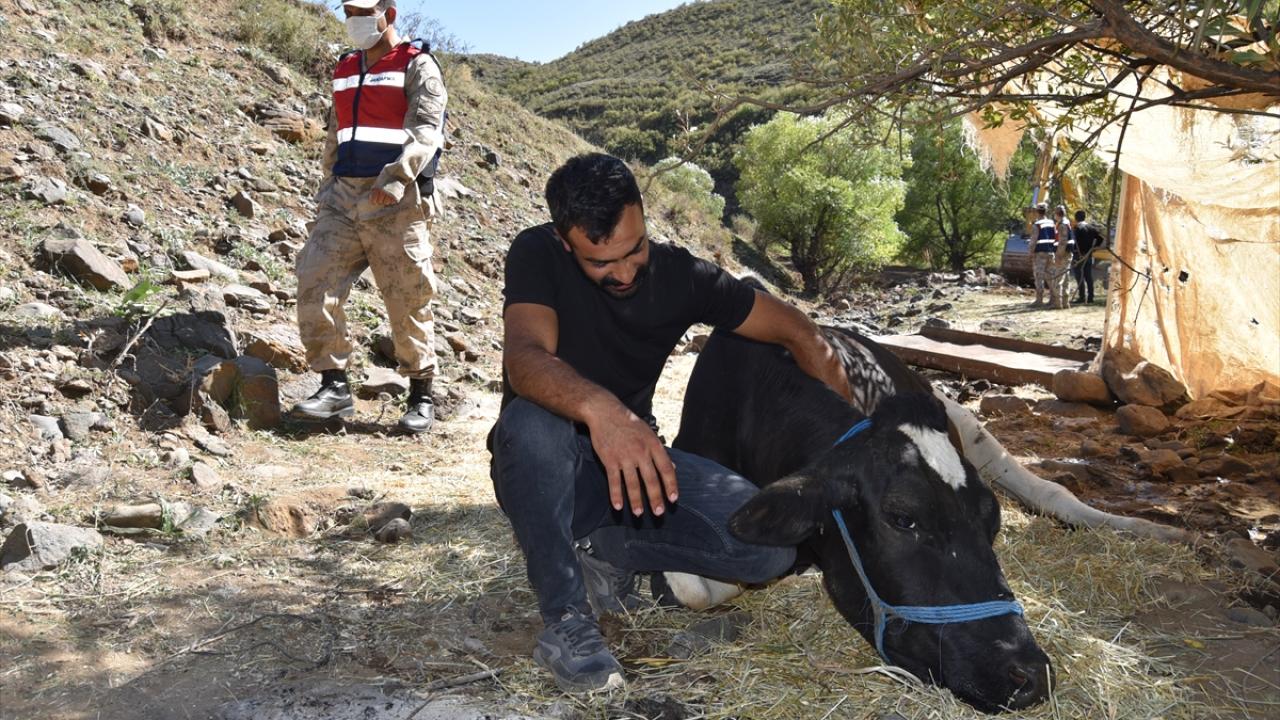 "Sağ olsun devletimiz burada yolu açtı, ineğimizi kurtardık"