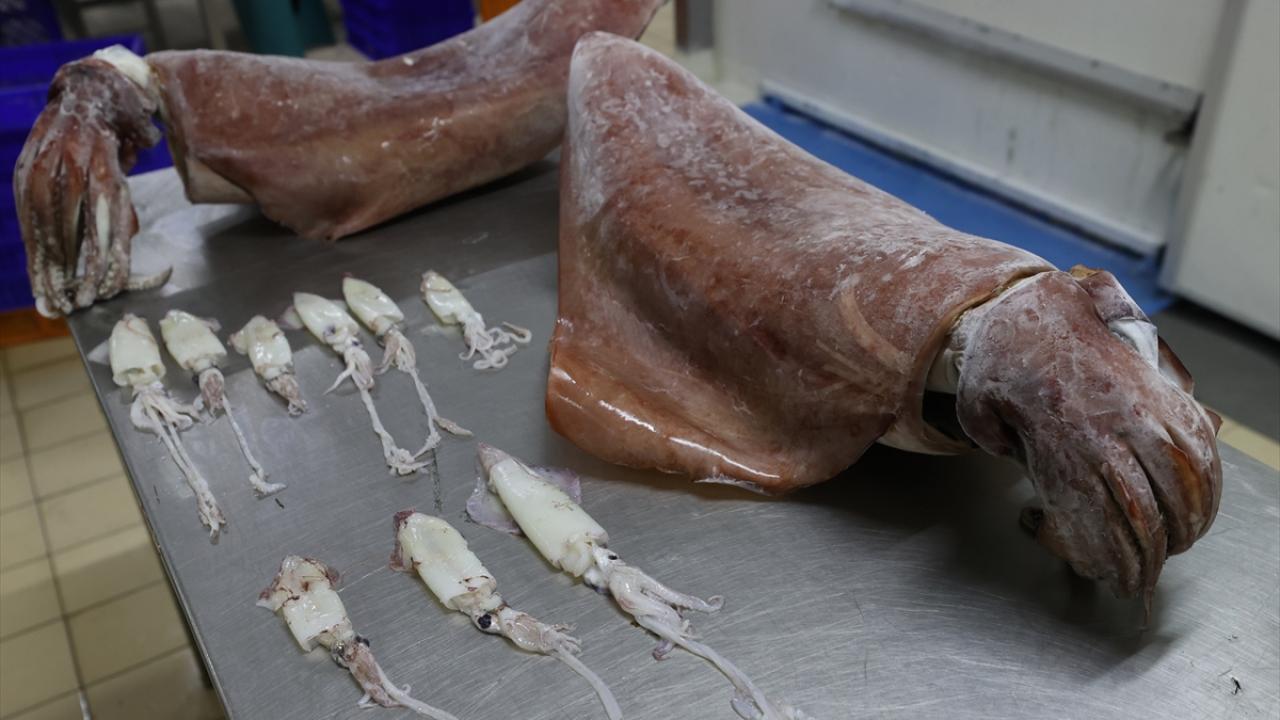 "İzmir`de rastlamadık"