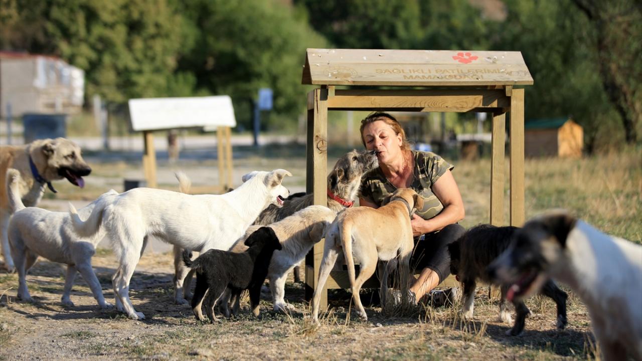 "Onları görmeden yapamıyorum"