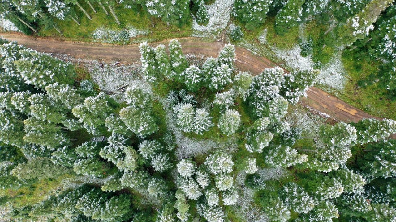 ILGAZ DAĞI