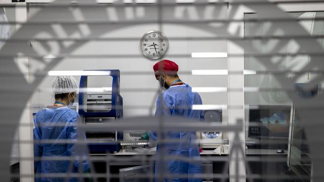 Esra Hankulunun ölüm nedeni belli oldu