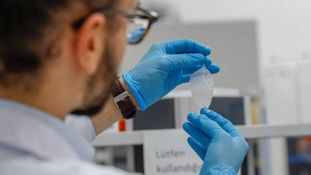 Türk bilim insanı ıspanağın iyileştirme hızını kanıtladı