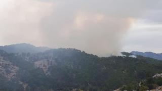 Manavgat'ta orman yangını