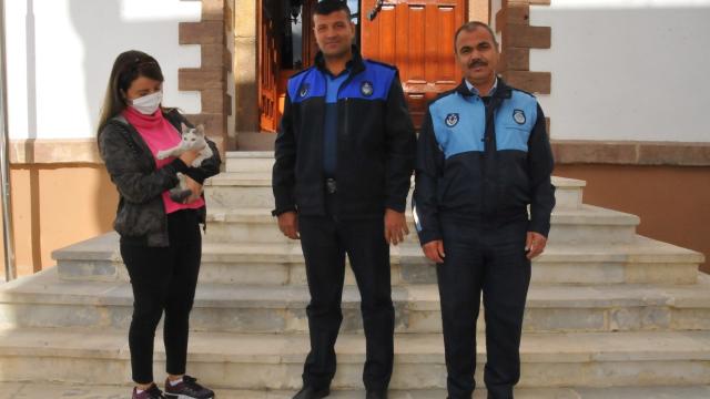 Akşehirde zabıta ekipleri sokakta bulduğu kediyi sahibine teslim etti