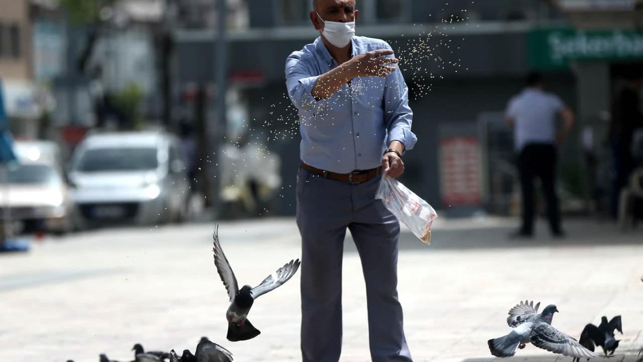 DÜZCE VAKA SAYILARI