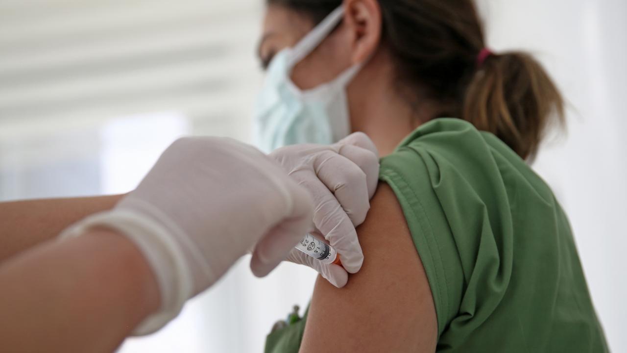 KASTAMONU AŞI İSTATİSTİKLERİ