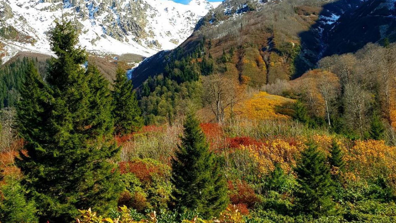 Fotoğraf: Fatih Tüysüz 