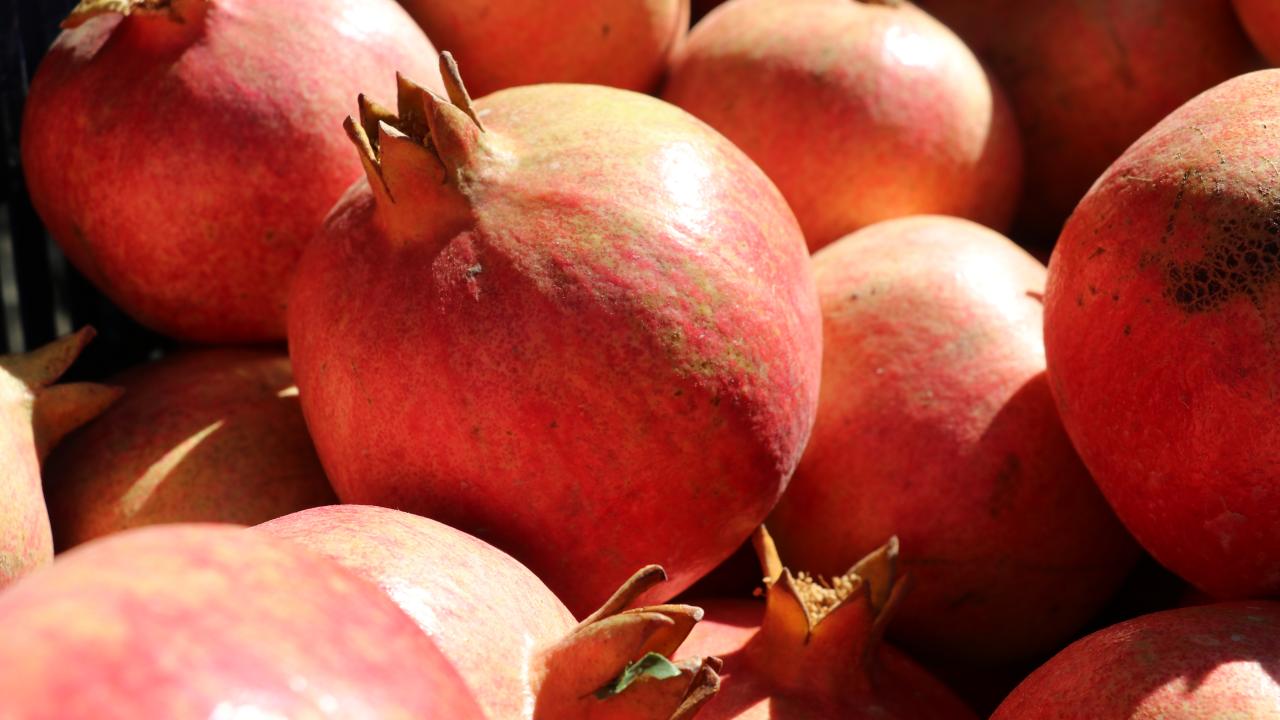 "Kaliteden taviz vermiyoruz"