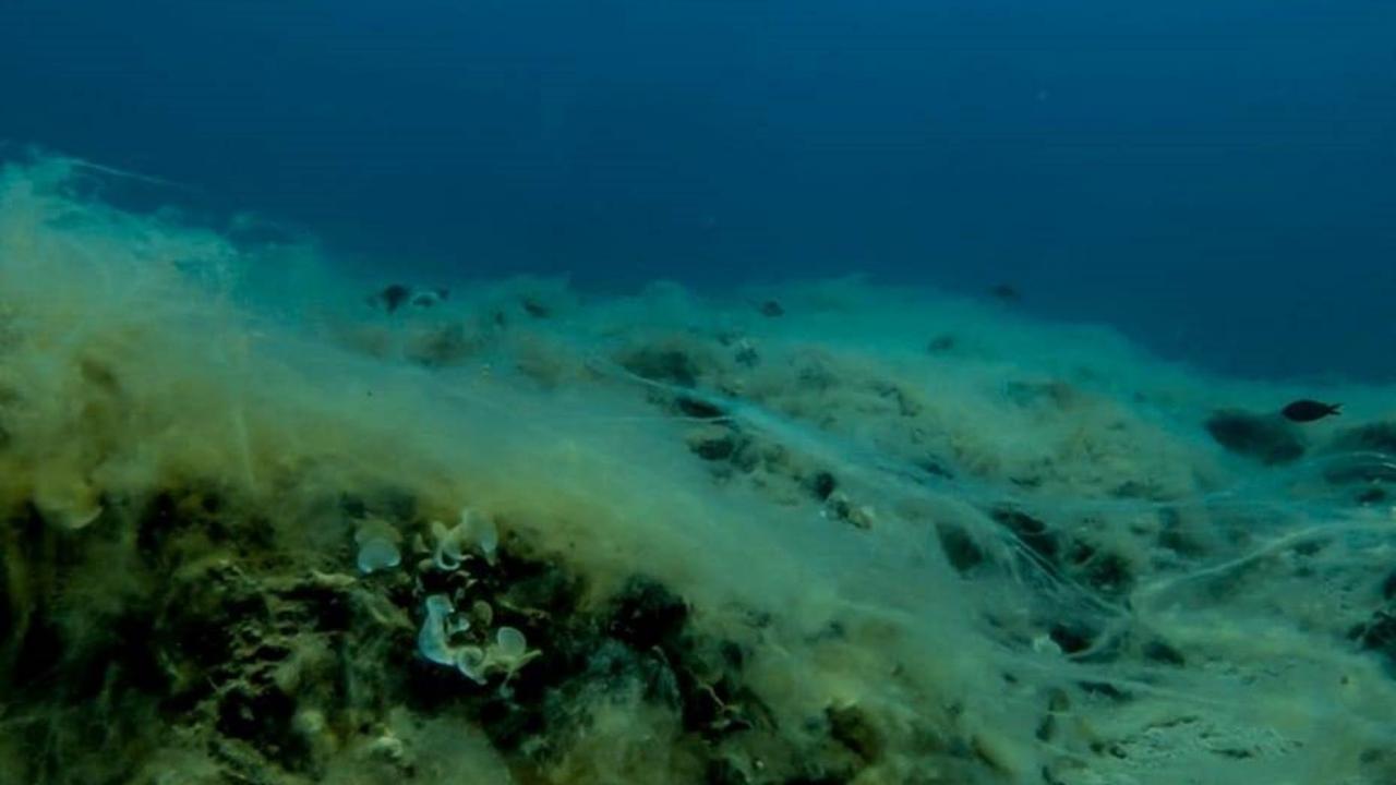 “Mersin’de ciddi problemlere yol açabilir”